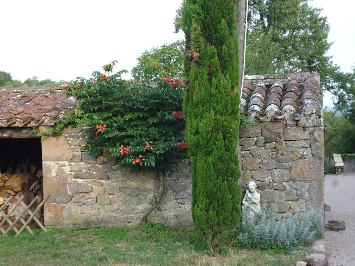 Bed and Breakfast La Fleur De Lys Roussayrolles Exterior foto
